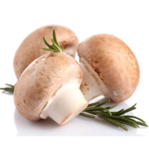 Ciuperci