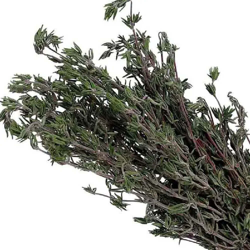 cimbrisor-import-30g-1buc
